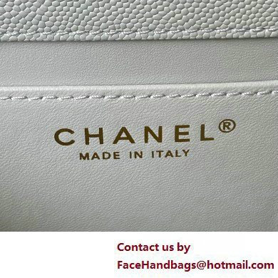 Chanel Grained Calfskin  &  Gold-Tone Metal Small Flap Bag with Top Handle AS4008 Light Green 2025